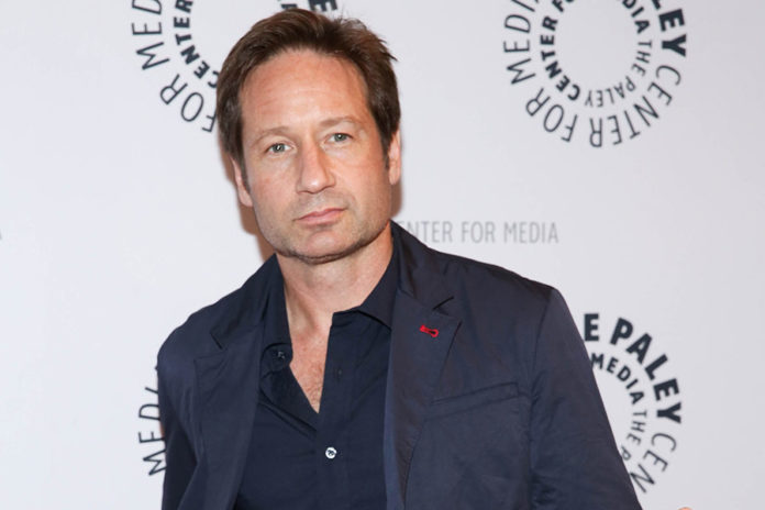 david duchovny net worth