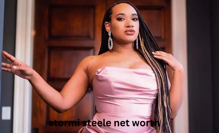 stormi steele net worth